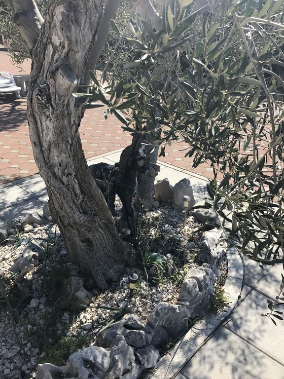 Casa Dolcevita شيبينيك المظهر الخارجي الصورة